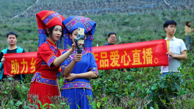 春茶开采，今天我为茶农代言|商学院顺利开展爱心直播助农活动